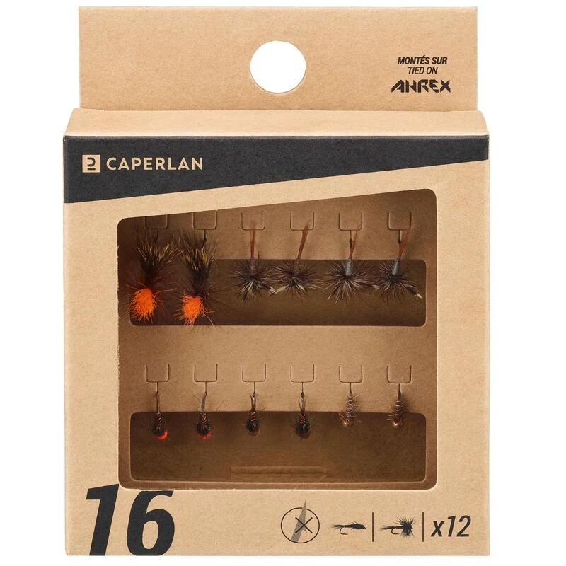 SECHES & NYMPHES HRK16 X12 2 SECHES & NYMPHES HRK16 X12 – Image 2